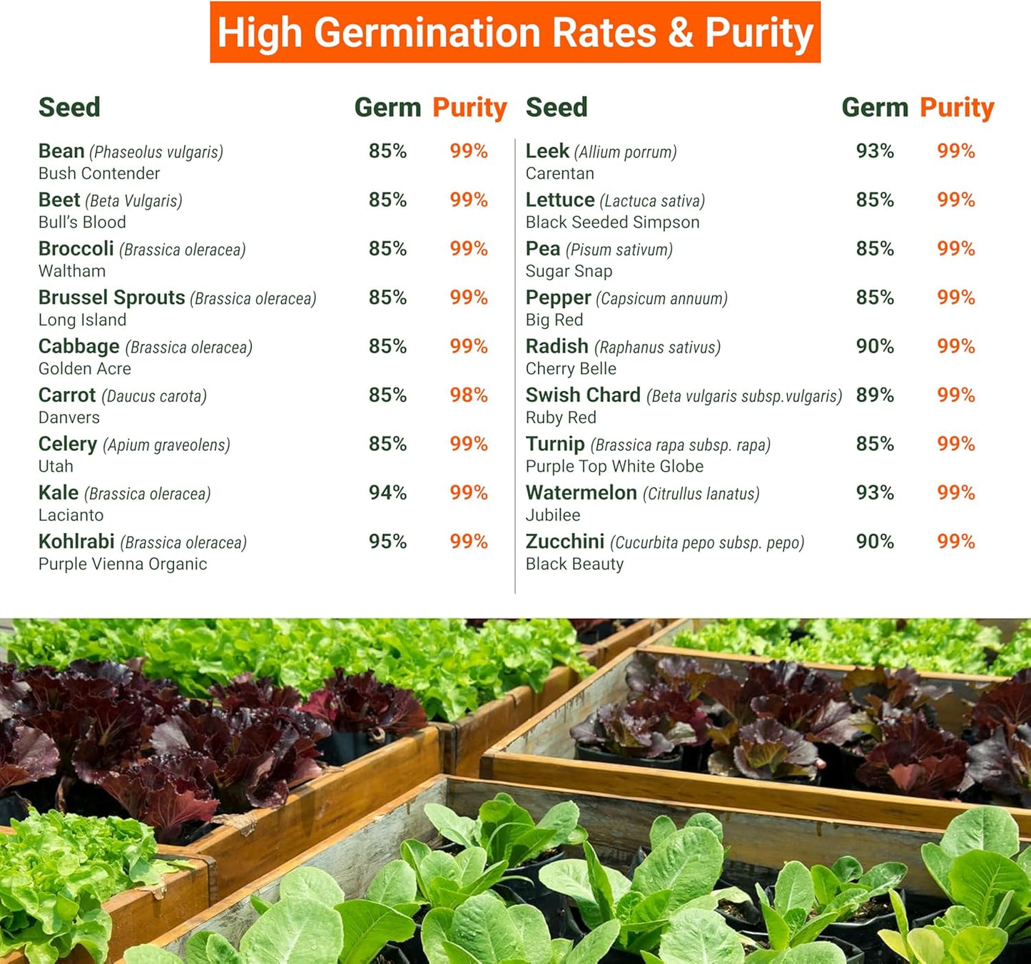 15,000 Heirloom Seeds Non GMO Vegetable and Fruit Seeds for Planting Outdoor & Indoor - 18 Variety Pack of Survival Garden Seeds