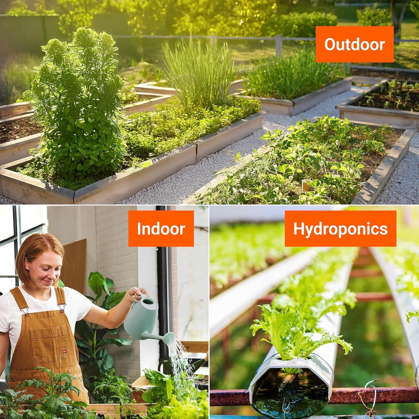 15,000 Heirloom Seeds Non GMO Vegetable and Fruit Seeds for Planting Outdoor & Indoor - 18 Variety Pack of Survival Garden Seeds