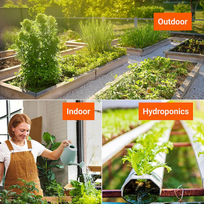 15,000 Heirloom Seeds Non GMO Vegetable and Fruit Seeds for Planting Outdoor & Indoor - 18 Variety Pack of Survival Garden Seeds